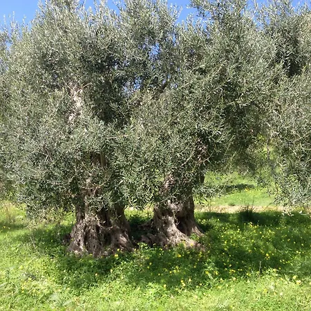 La Pace Degli Angeli Alpstuga Cefalù
